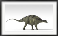 Brachytrachelopan Dinosaur Framed Print