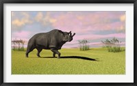 Framed Brontotherium Grazing