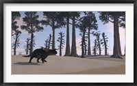 Brown Einiosaurus Roaming Framed Print