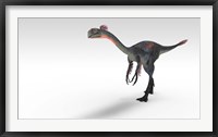 Gigantoraptor Dinosaur Framed Print