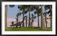 Framed Large Brachiosaurus Among Trees