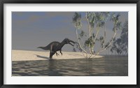 Framed Suchomimus Hunting for Food