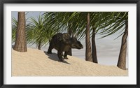 Framed Triceratops Walking in a Tropical Environment