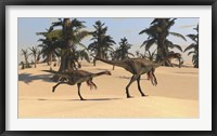 Framed Two Gigantoraptors in Desert Landscape
