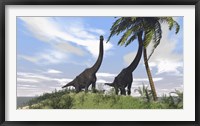 Framed Two Large Brachiosaurus Grazing