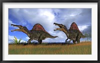 Framed Two Spinosaurus Hunting