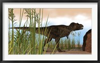 Framed Tyrannosaurus Rex Hunting for Meal