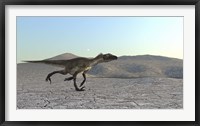 Utahraptor Framed Print