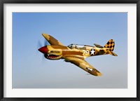 Framed P-40N Warhawk