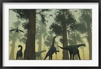 Framed Camarasaurus Dinosaurs