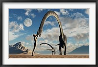 Framed Adam Greeting Omeisaurus Sauropod Dinosaurs