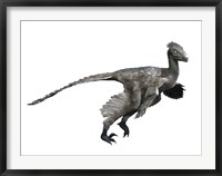 Troodon Dinosaur Framed Print