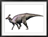 Tsintaosaurus Dinosaur Framed Print
