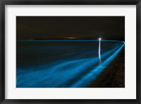 Framed Bioluminescence in Waves in the Gippsland Lakes