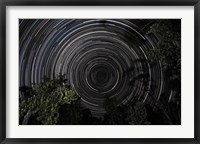 Framed Southern Sky Star Trails