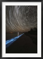 Framed Star Trails over Bioluminescence