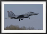 Framed US Air Force F-15E Strike Eagle