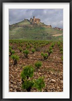 Framed Vineyard in stony soil with San Vicente de la Sonsierra Village, La Rioja, Spain