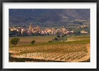 Framed Village of Brinas surrounded by Vineyards, La Rioja Region, Spain