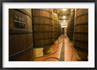 Framed Large Oak tanks holding wine, Bodega Muga Winery, Haro village, La Rioja, Spain