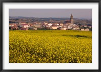 Framed Yellow mustard flowers, Elvillar Village, La Rioja, Spain