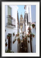 Framed Calleja de las Flores (Flower Alley), Spain