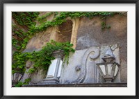 Framed Spain, Granada Ivy growing on the walls of the Alhambra