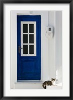 Framed Greece, Aegean Islands, Samos, Door, Cat