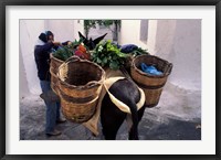 Framed Pack Mule at Market, Santorini, Greece