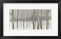 Framed Woods in Winter BW