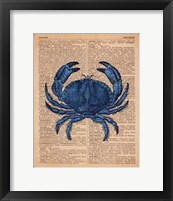 Vintage Crab Framed Print