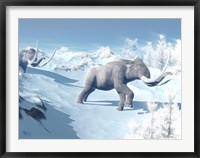 Framed Mammoths Walking Slowly on the Snowy Mountain Against the Wind