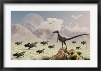 Framed Protoceratops stampede in fear as a Velociraptor Watches