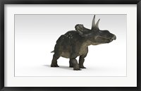 Framed Triceratops Dinosaur 2