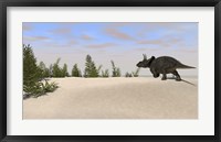 Framed Triceratops Dinosaur 7