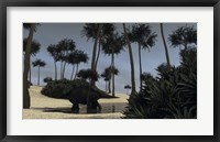 Framed Triceratops Roaming in a Riverbed