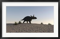 Framed Triceratops Walking across a Barren Landscape 1