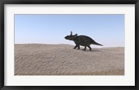 Framed Triceratops Walking across a Barren Landscape 3