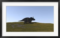 Framed Triceratops Walking across a Grassy Field 4