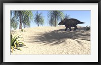 Framed Triceratops Walking in a Tropical Environment 1