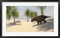 Framed Triceratops Walking in a Tropical Environment 2