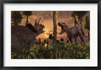 Framed T- Rex and Triceratops meet for a Battle 1