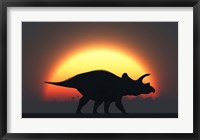 Framed Silhouetted Triceratops strolling Past a Setting Sun