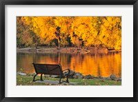 Framed Fall Glow