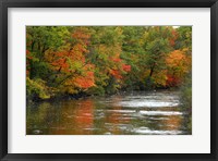 Framed Hint of Fall