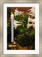 Framed Easter Flowers