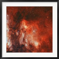 Framed Pelican Nebula II