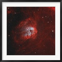 Framed Tadpole Nebula I