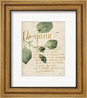 Framed Herb Study III