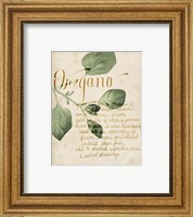 Framed 'Herb Study III' border=